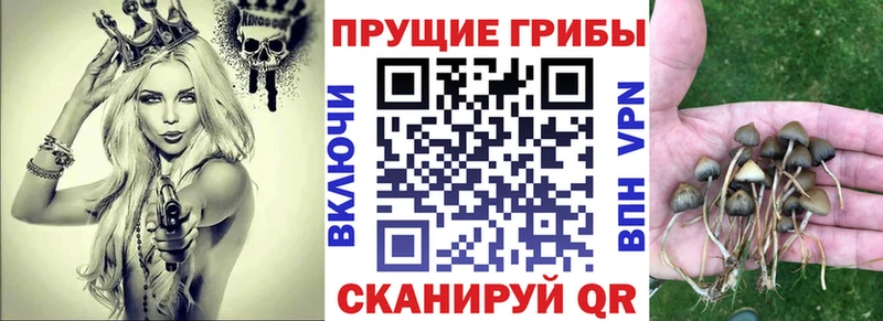 купить   Чулым  Галлюциногенные грибы прущие грибы 